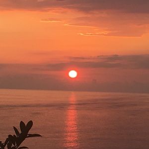 Meet your Posher, Cary